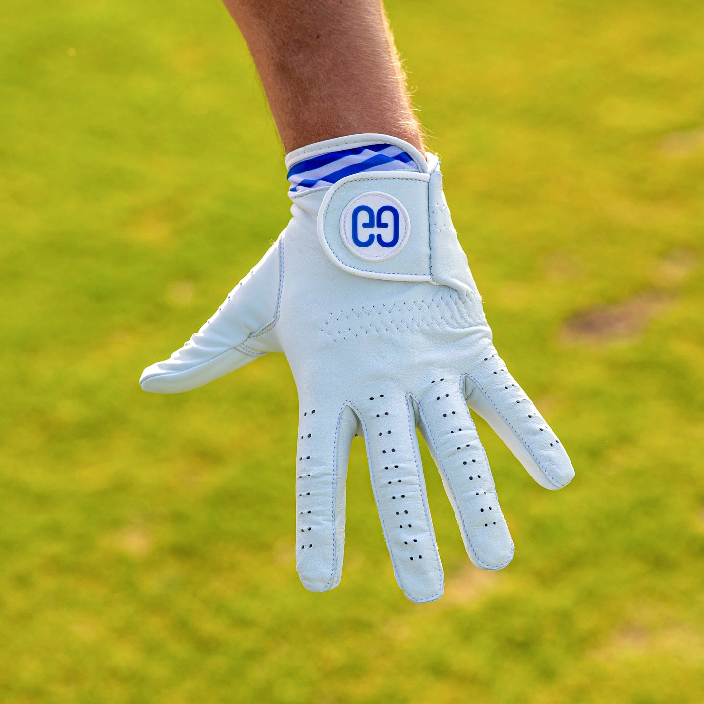 Birdie Golf Glove