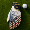 Airpower 250 Golf Glove
