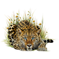 Leopard Golf Glove