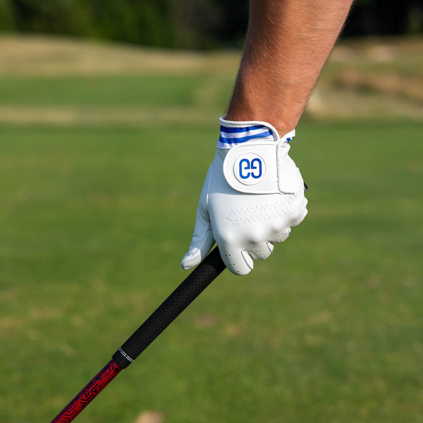 Birdie Golf Glove