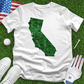 California Golf Courses Tee